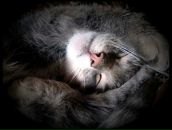 Фотография Masik Natalka