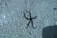 Дмитрий Минаков фотография #16 (источник - https://vk.com/id2820287)