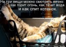 Стас Тимофеев фотография #31 (источник - https://vk.com/id3975274)