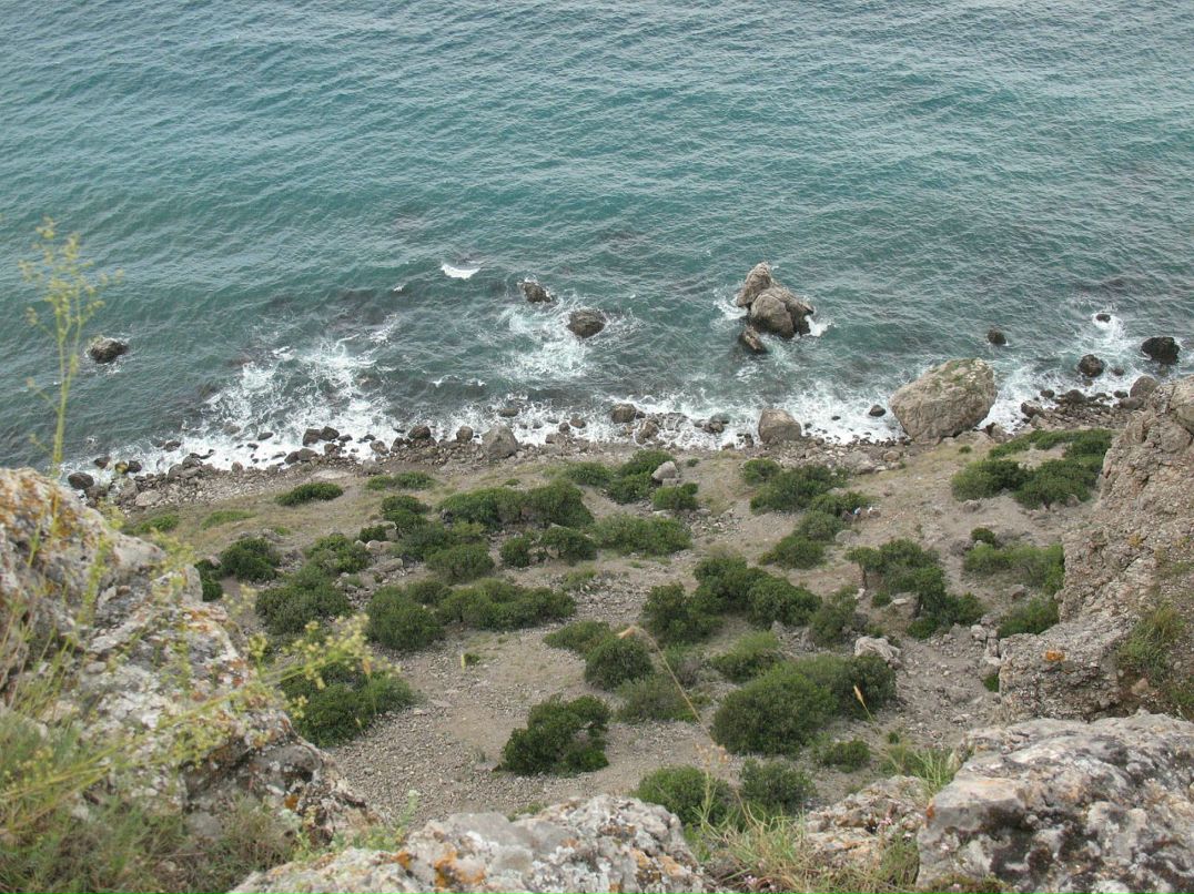 Александр Грищенко фотография #40