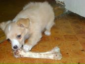 Фотография Искры Анастасии