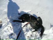 Фотография Драчева Антона