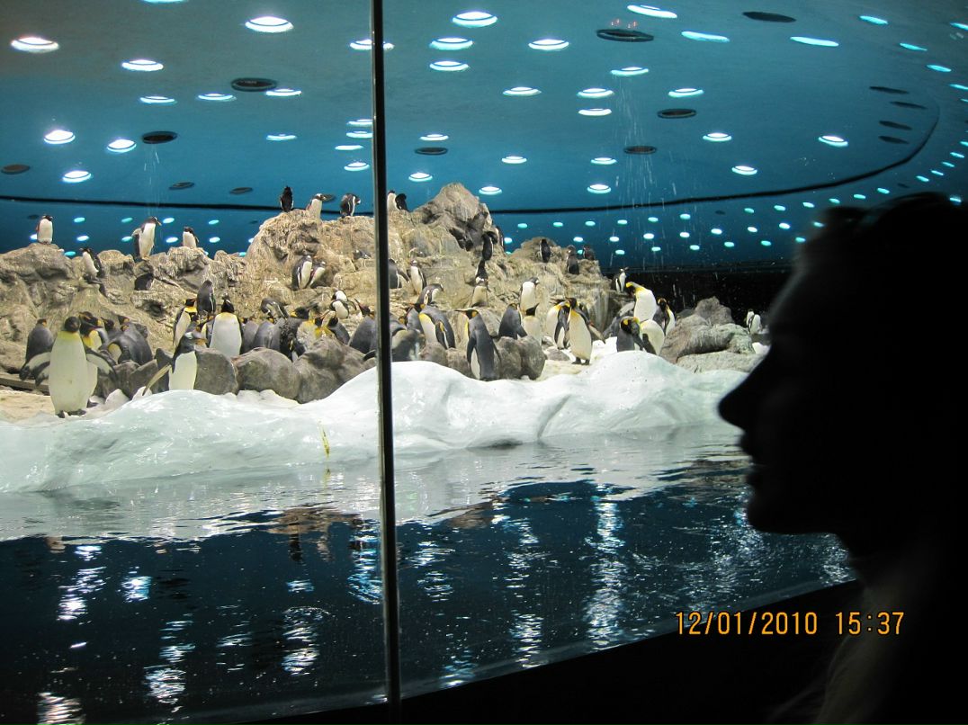 Дмитрий Тимонин фотография #49