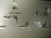 Фотография Сорокиной Татьяны