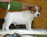 Фотография Подлужновой Татьяны