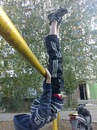 Деніс Пал фотография #11 (источник - https://vk.com/id139360974)