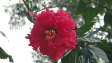 Фотография Диас Пугановой Екатерины