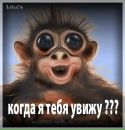Макс Чухній фотография #39 (источник - https://vk.com/id183071997)