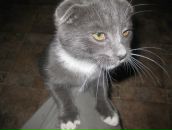 Фотография Мелехова Игоря