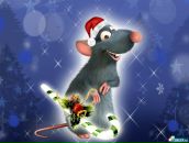 Фотография Смольяниновой Елены