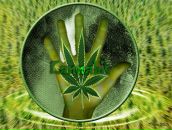 Алексей Zm_nation фотография #10 (источник - https://vk.com/id86134032)