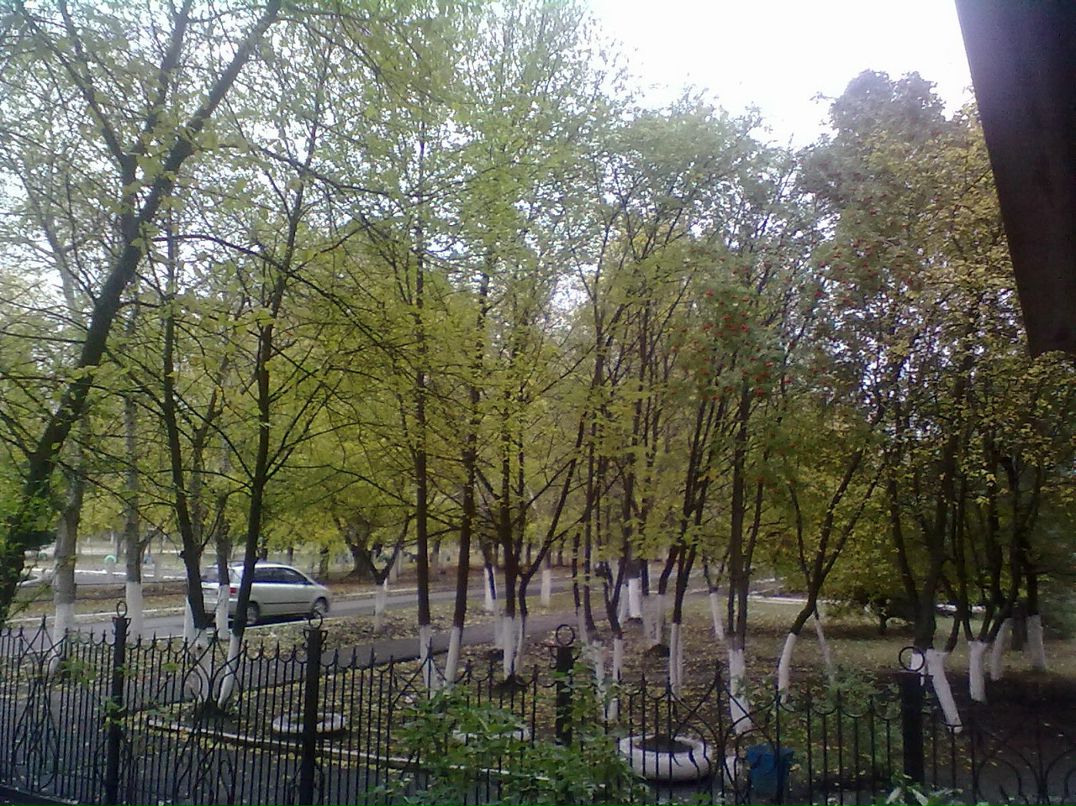 Сергей Кононенко фотография #16