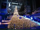 Валерія Федорчук фотография #5 (источник - https://vk.com/id96231278)