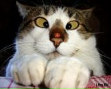 Фотография Абиднева Алексея