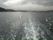 Yuliya Dechitmaa фотография #5 (источник - https://vk.com/id25813809)