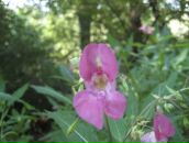 Олексій Бартосевич фотография #27 (источник - https://vk.com/id44964477)