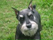 Фотография Березовской Светланы