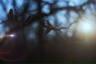 Макс Мелентьев фотография #37 (источник - https://vk.com/id207608)