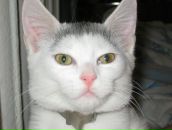 Анатолій Доценко фотография #24 (источник - https://vk.com/id29323667)