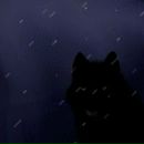 Іван Васютяк фотография #2 (источник - https://vk.com/id123347277)