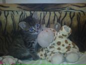 Фотография Зотовой Юлии