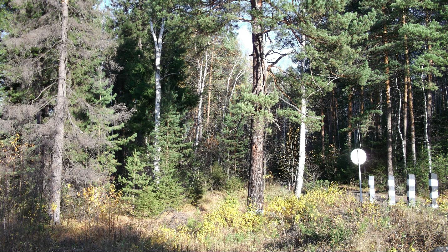 Александр Бабенко фотография #21