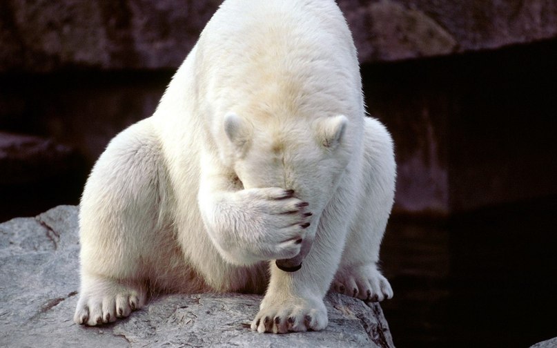 Игорь Зборщик фотография #18