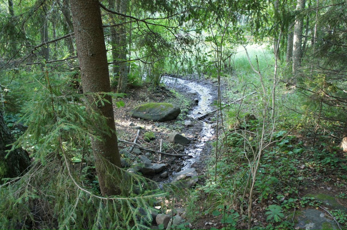 Сергей Д фотография #47