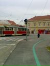 Тері Голубка фотография #17 (источник - https://vk.com/id26987531)