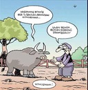 Maris Travel фотография #19 (источник - https://vk.com/id76156973)