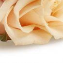 Іра Сакундяк фотография #6 (источник - https://vk.com/id35307343)