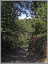 Віталь Вольський фотография #13 (источник - https://vk.com/id32761106)