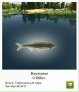 Сергій Кінах фотография #6 (источник - https://vk.com/id57373720)