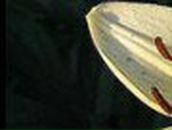 Лілія Рудікова фотография #7 (источник - https://vk.com/id134639062)