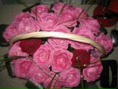 Фотография Болдеско Алены