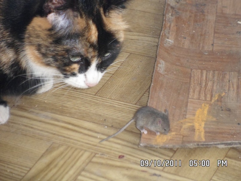 Дмитрий Перфильев фотография #5