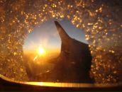 Anna Dvor фотография #3 (источник - https://vk.com/id1046482)