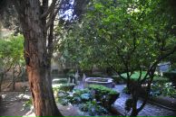 Саша Sspector фотография #26 (источник - https://vk.com/id196559)