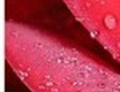 Оксана Андрєєва фотография #12 (источник - https://vk.com/id80928549)