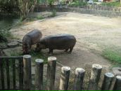 Клевый Парень фотография #50 (источник - https://vk.com/id391001)