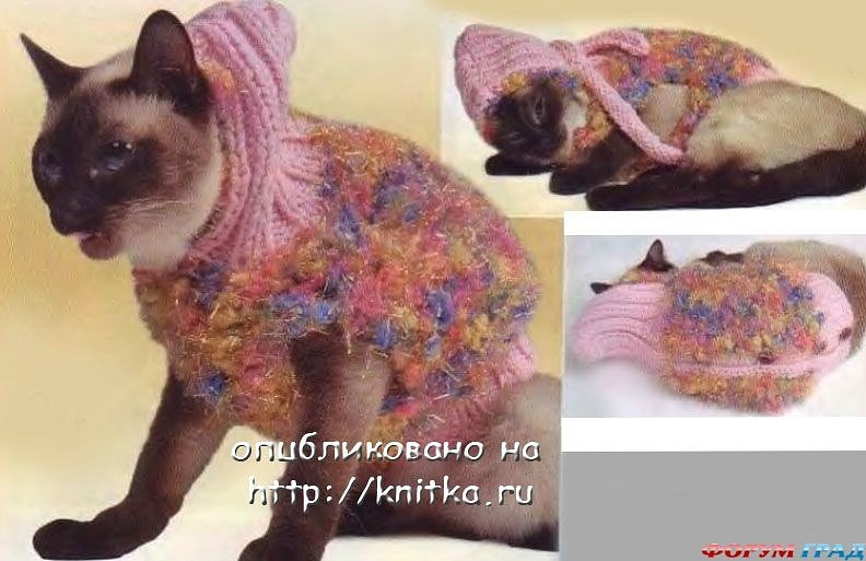 Дима Ощепков фотография #9