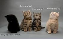 Фотография Журавской Светланы
