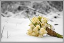 Випускні Альбоми фотография #13 (источник - https://vk.com/id162200659)