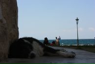 Сергей Толмачёв фотография #39 (источник - https://vk.com/id98358)