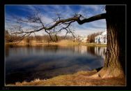 Фотография Легостаевой Надежды