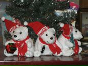 Фотография Звездиной Анны