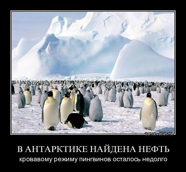 Антон Исаков фотография #19