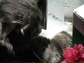 Женя Черепіна фотография #8 (источник - https://vk.com/id11046683)