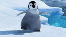 Фотография Кибановой Анастасии