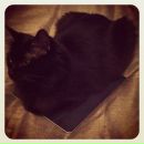 Андрей Спирин фотография #32 (источник - https://vk.com/id7919906)